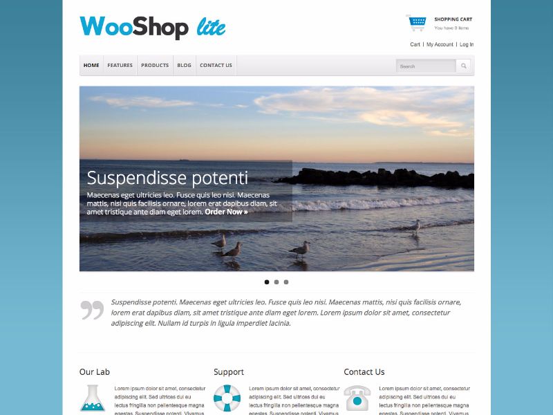 Tema loja virtual wordpress woocommerce para lojas de esportes